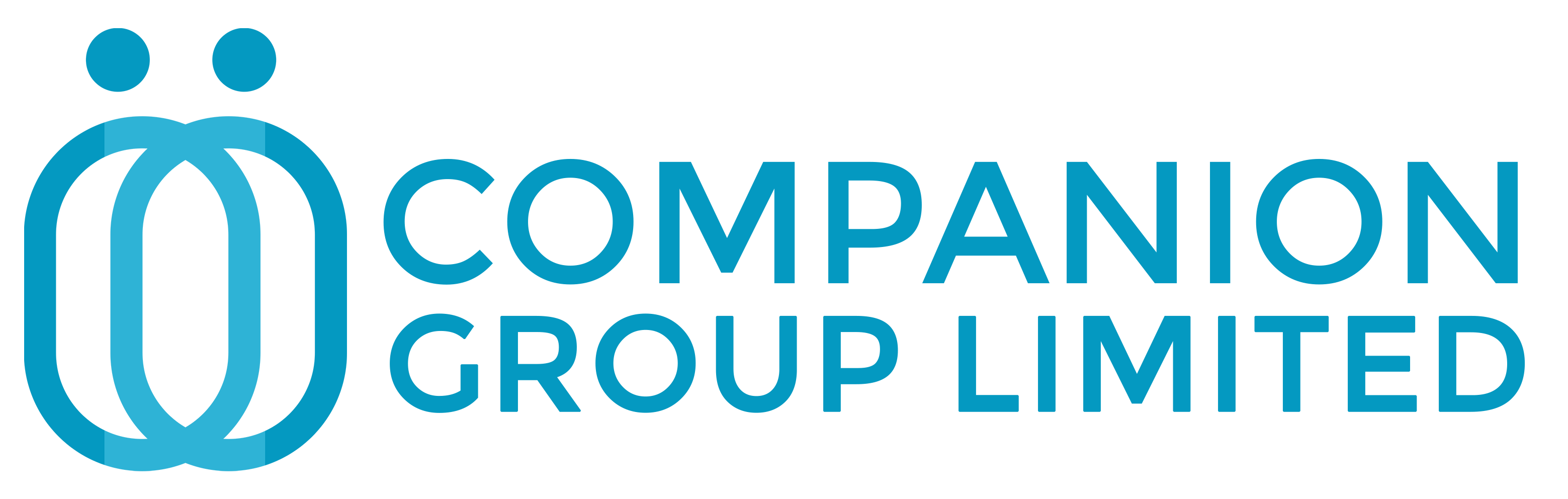 Companion Insurance Group
