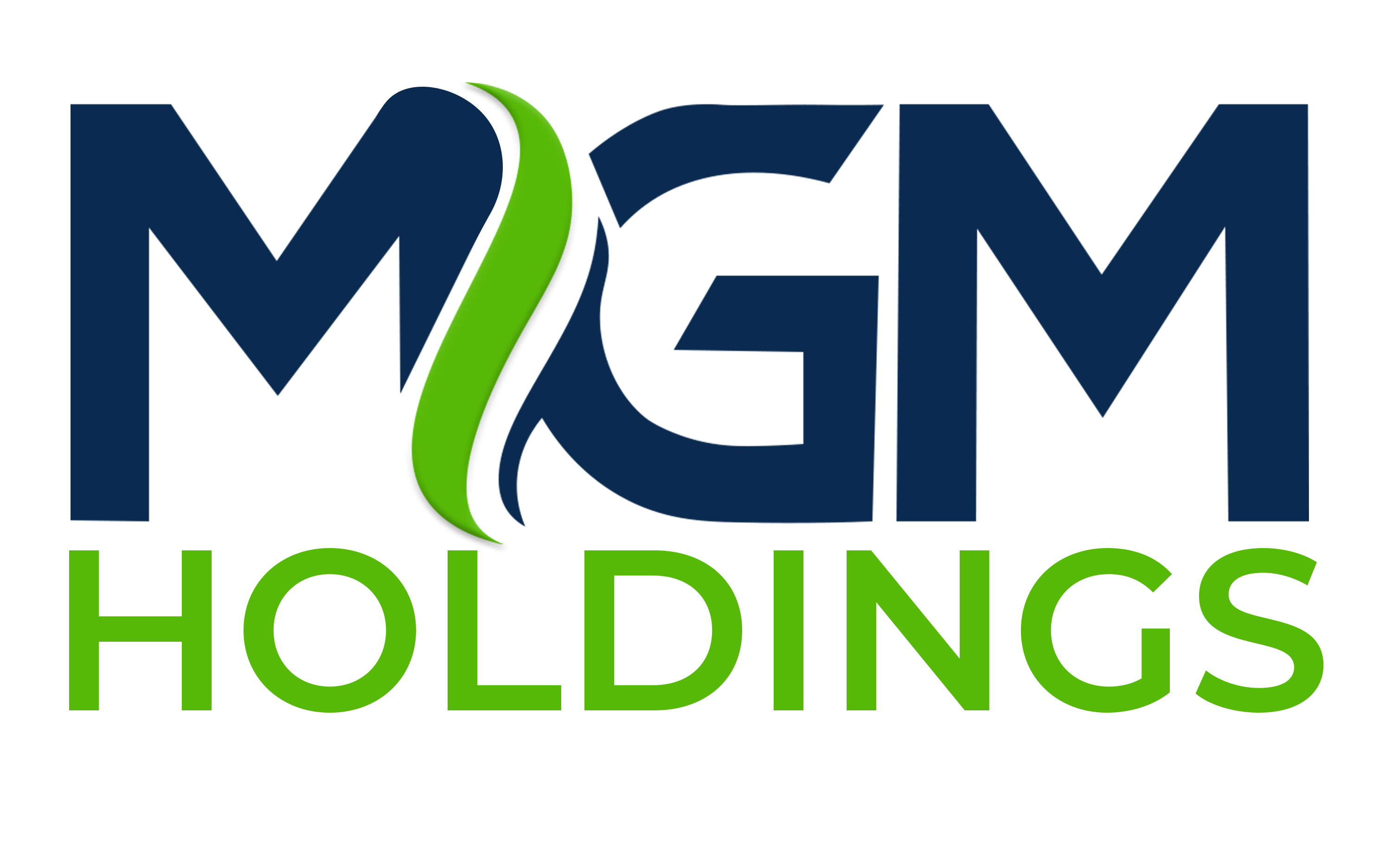 MGM Holdings