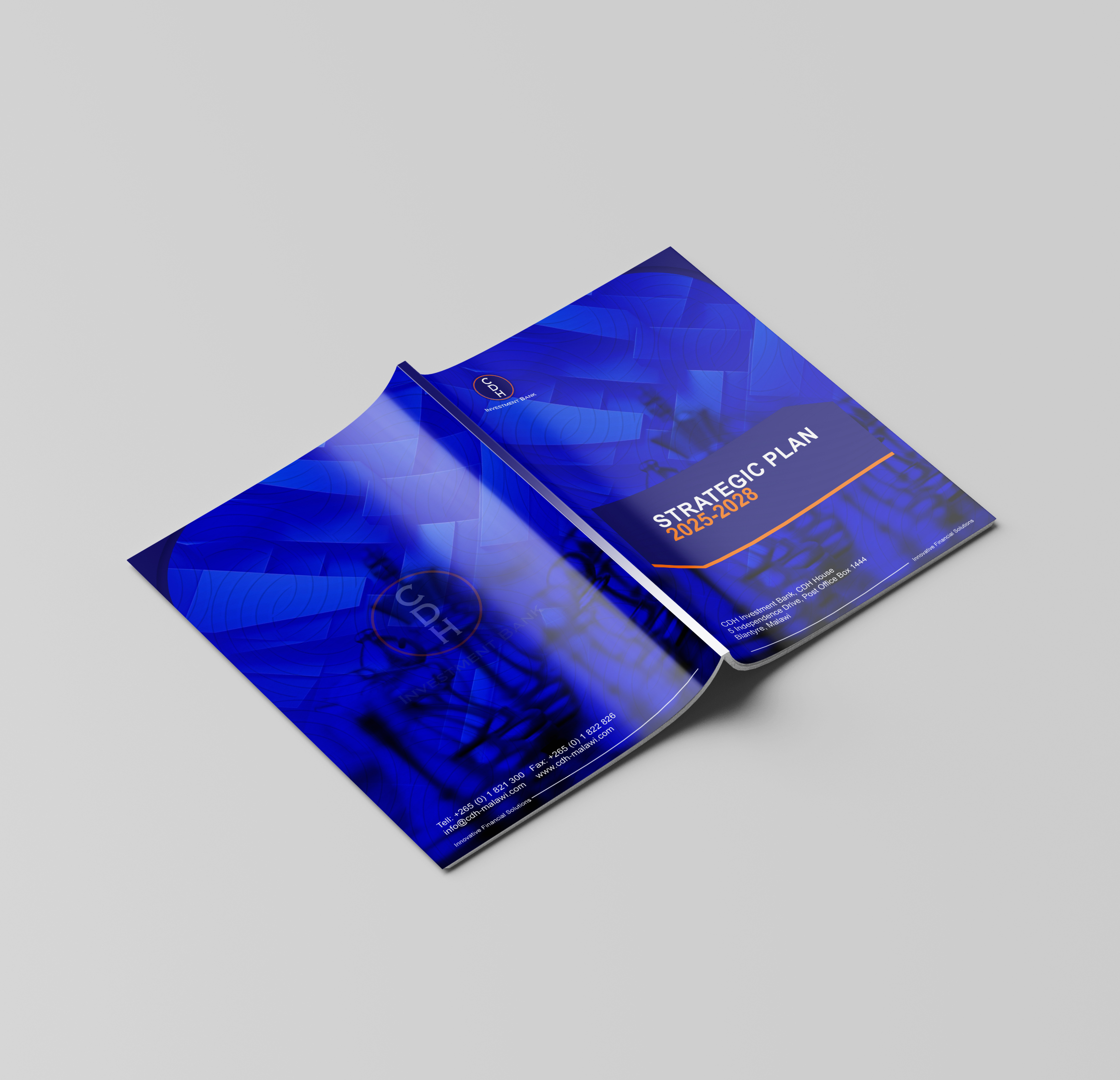 CDH Bank — CDH Bank Strategic Plan, designed by Hive Designs